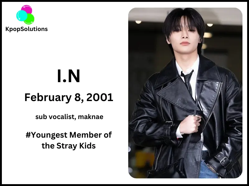 Stray Kids Ages, Birthdays: How Old Are the K-Pop Stars?