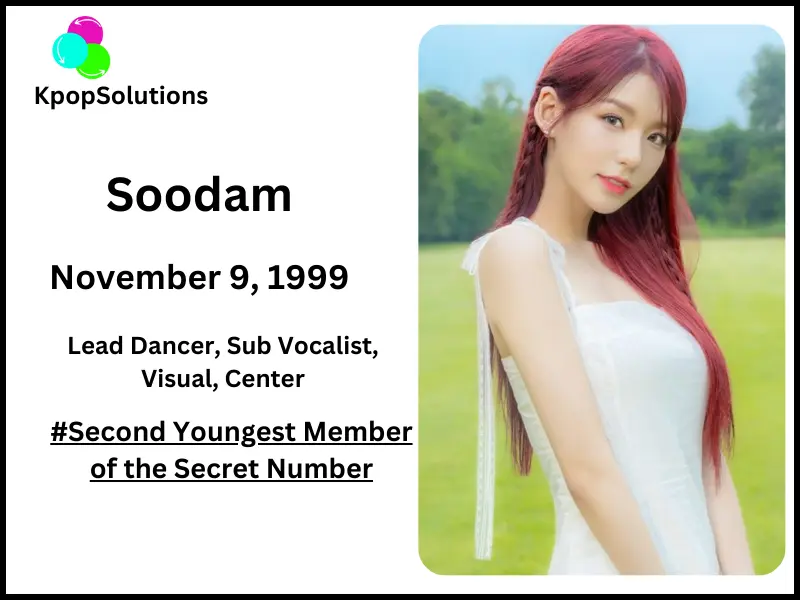 Secret Number Soodam date of birth and current.